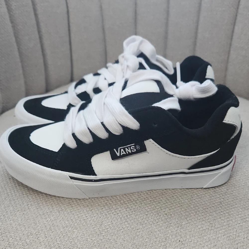 Vans Black and White Low-Top Skate Sneakers